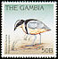 Egyptian Plover Pluvianus aegyptius  1996 Birds 