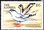 Roseate Tern Sterna dougallii  1997 Sea birds of the world 