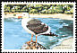 Western Gull Larus occidentalis  1999 Seabirds 