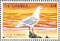 Glaucous-winged Gull Larus glaucescens  1999 Seabirds Sheet