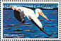 American White Pelican Pelecanus erythrorhynchos  1999 Seabirds Sheet