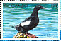 Black Guillemot Cepphus grylle  1999 Seabirds Sheet