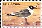 Laughing Gull Leucophaeus atricilla  1999 Seabirds Sheet
