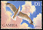 Yellow-legged Gull Larus michahellis  1999 Sea creatures 4v set