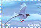 Swallow-tailed Gull Creagrus furcatus  1999 Marine life of Galapagos 40v sheet