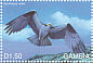 Western Osprey Pandion haliaetus  1999 Marine life of Galapagos 40v sheet
