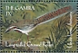 Long-tailed Ground Roller Uratelornis chimaera  2000 Endangered animals of Africa 6v sheet