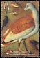 Great Bustard Otis tarda  2000 Birds through the eyes of famous painters 4v set