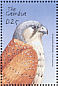Common Kestrel Falco tinnunculus  2001 Animals of Africa  MS