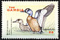 Blue-winged Teal Spatula discors  2001 Ducks 