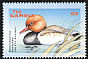 Red-crested Pochard Netta rufina  2001 Ducks 