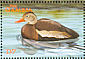 Black-bellied Whistling Duck Dendrocygna autumnalis  2001 Ducks Sheet