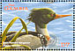 Red-breasted Merganser Mergus serrator  2001 Ducks Sheet
