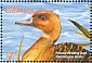 Fulvous Whistling Duck Dendrocygna bicolor  2001 Ducks Sheet