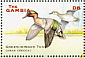Eurasian Teal Anas crecca  2001 Ducks Sheet