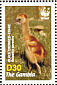 Black Crowned Crane Balearica pavonina  2006 WWF Sheet with 4 sets
