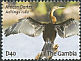 African Darter Anhinga rufa  2009 Birds of Gambia 