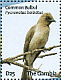 Common Bulbul Pycnonotus barbatus  2009 Birds of Gambia Sheet