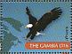 Bald Eagle Haliaeetus leucocephalus  2011 Birds of the world Sheet