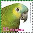 Turquoise-fronted Amazon Amazona aestiva  2013 Birds of Brazil Sheet