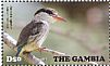 Striped Kingfisher Halcyon chelicuti  2015 Kingfishers Sheet