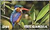 Malachite Kingfisher Corythornis cristatus  2015 Kingfishers Sheet