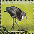 Glossy Ibis Plegadis falcinellus  2018 Birds of The Gambia Sheet