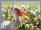 Yellow-billed Stork Mycteria ibis  2018 Birds of The Gambia Sheet