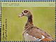 Egyptian Goose Alopochen aegyptiaca  2018 Birds of The Gambia Sheet