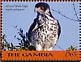 African Hawk-Eagle Aquila spilogaster  2018 Eagles of Africa Sheet