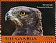 Martial Eagle Polemaetus bellicosus  2018 Eagles of Africa Sheet