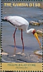 Yellow-billed Stork Mycteria ibis  2019 Yellow-billed Stork Sheet