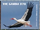 White Stork Ciconia ciconia  2019 White Stork Sheet