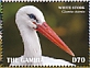 White Stork Ciconia ciconia  2019 White Stork Sheet