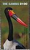 Saddle-billed Stork Ephippiorhynchus senegalensis  2019 Saddle-billed Stork Sheet