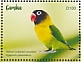Yellow-collared Lovebird Agapornis personatus  2020 Yellow-collared Lovebird Sheet
