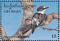 Collared Flycatcher Ficedula albicollis  1996 Birds Sheet