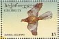 Western Marsh Harrier Circus aeruginosus  1996 Birds Sheet