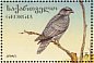 Northern Goshawk Accipiter gentilis  1996 Birds Sheet