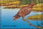 Eastern Imperial Eagle Aquila heliaca  1996 Birds Sheet