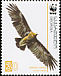 Greater Spotted Eagle Clanga clanga  2007 WWF 