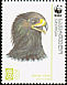 Greater Spotted Eagle Clanga clanga  2007 WWF 