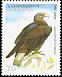 Golden Eagle Aquila chrysaetos  2007 Eagles 