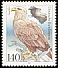 White-tailed Eagle Haliaeetus albicilla  1991 Birds 