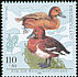 Ferruginous Duck Aythya nyroca  1998 Humanitarian relief funds 