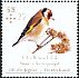 European Goldfinch Carduelis carduelis  2013 Songbirds 