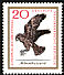 Common Buzzard Buteo buteo  1965 Birds of prey 