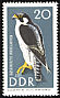 Peregrine Falcon Falco peregrinus  1967 Protected birds 