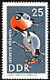 Eurasian Bullfinch Pyrrhula pyrrhula  1967 Protected birds 