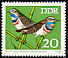 Bluethroat Luscinia svecica  1973 Songbirds 